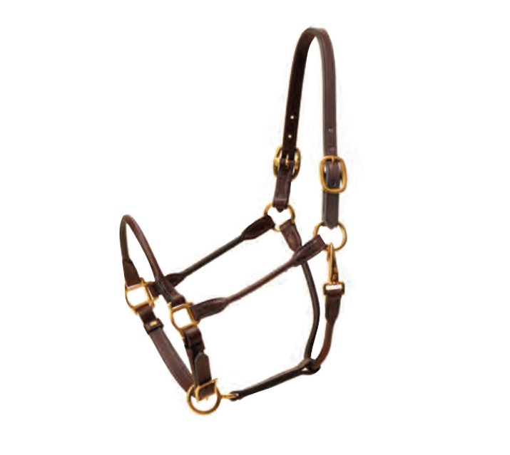 English bridle leather halter with a rolled nose and rolled cheeks.