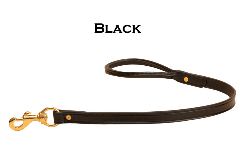 Black leather dog leash with a rolled handled and solid brass hardware.