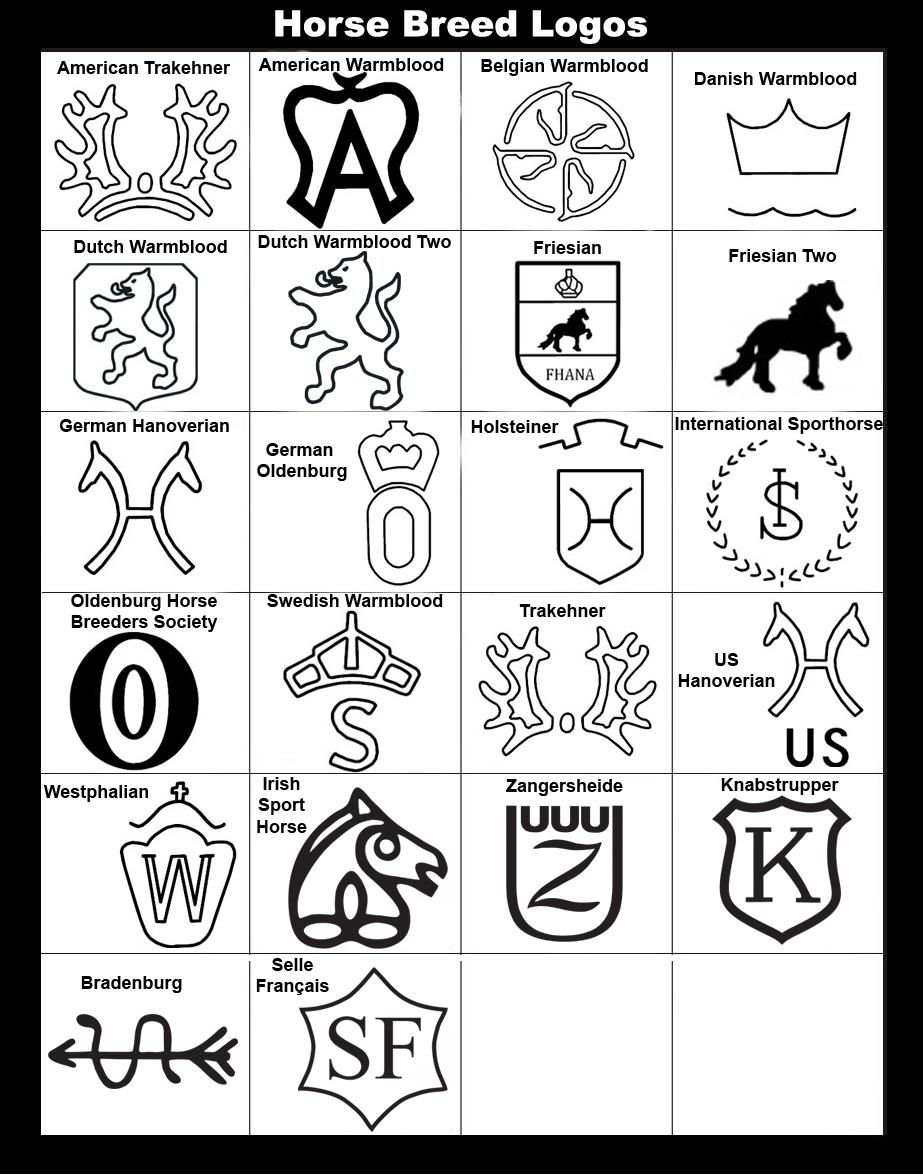 Dutch Warmblood, Friesian, German Oldenburg, American Warmblood, Knabstrupper
