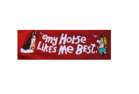 Close up of Horses Like Me Best visor. Jared Lee