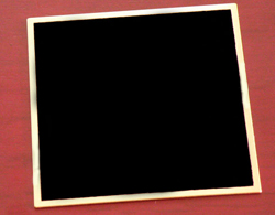 Dutch Warmblood, Friesian, Horse Breed Logos: American Trakehner, American Warmblood, Selle Français, Belgian Warmblood, Bradenburg, Danish Warmblood, Dutch Warmblood, Friesian, German Hanoverian, German Oldenburg, American Warmblood, Knabstrupper