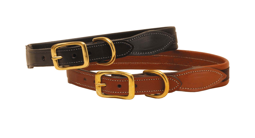 Padded leather dog collar with tab ends and solid brass hardware.