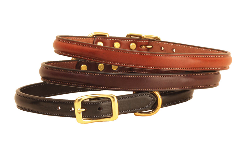 Raised leather nameplate dog collar with solid brass hardware.