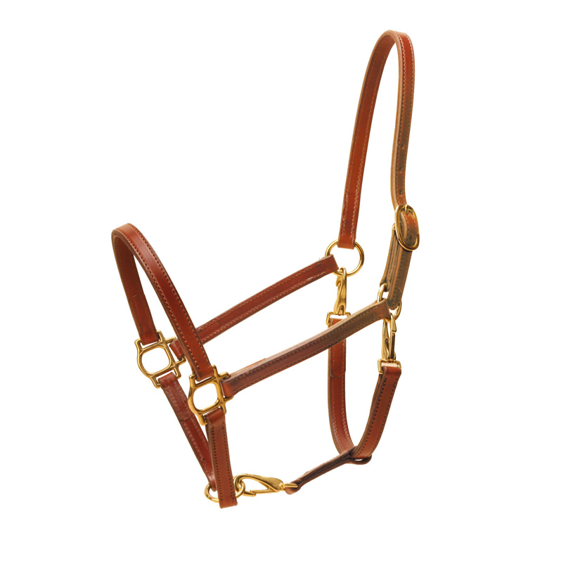The Tory Leather convertible horse halter is 3/4" wide double stitched English bridle leather.