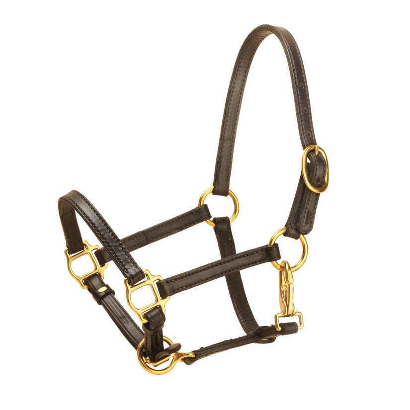 The Tory Leather weanling halter is 5/8" wide English bridle leather with a single buckle crown.