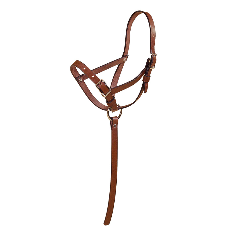 Leather foal slip halter with grab strap. Horse Foal Halter | Tory Leather