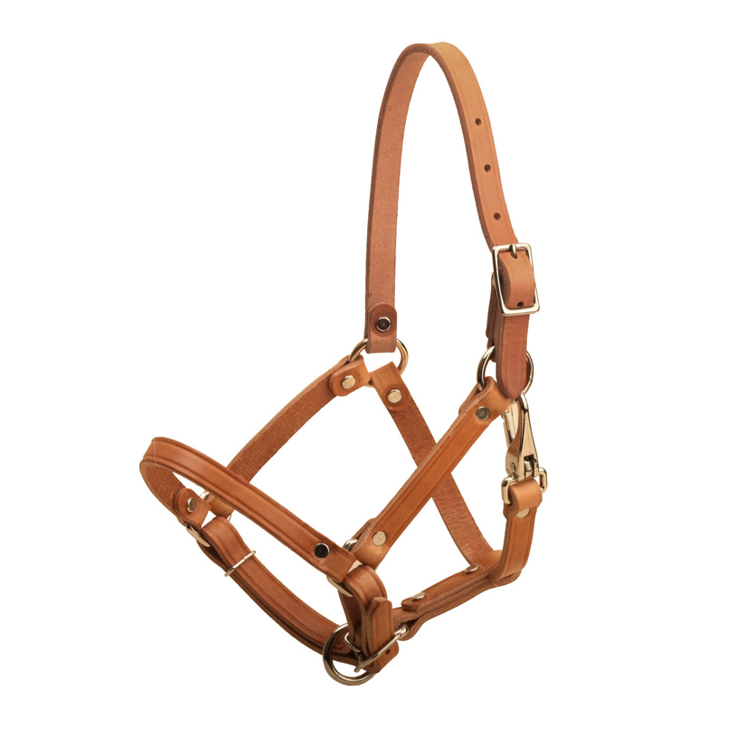 Latigo harness leather foal halter with rivet construction, throat snap and an adjustable nose.