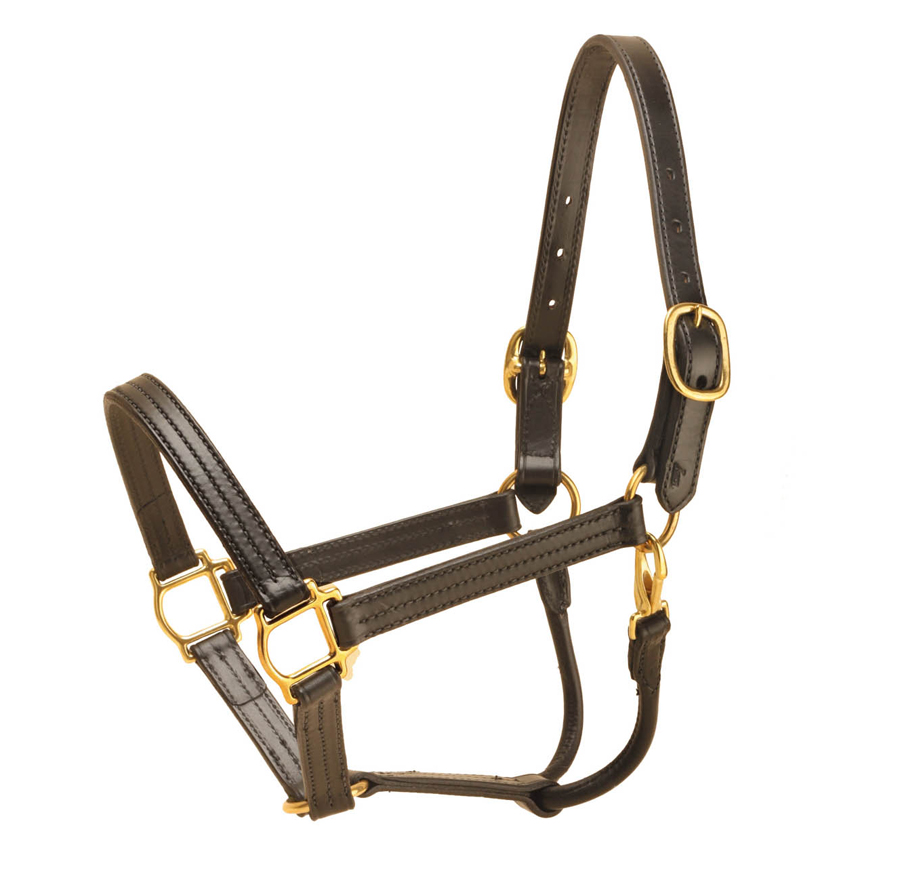 Black Leather Deluxe Leather Tory Track Halter