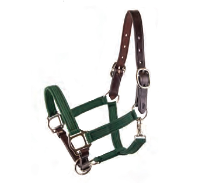 Tory leather's havana leather and cotton web halter is a very attractive stable halter.