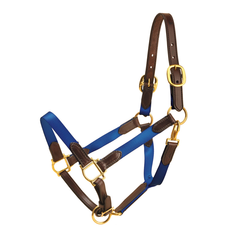 This stable halter provides a perfect combination of bridle leather that gives the halter a good safety factor and a good nylon that provides the color that you want.