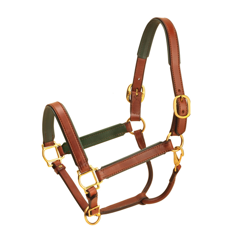 Tory's padded 1" leather halter is made from English Bridle leather with soft padding backing the leather.