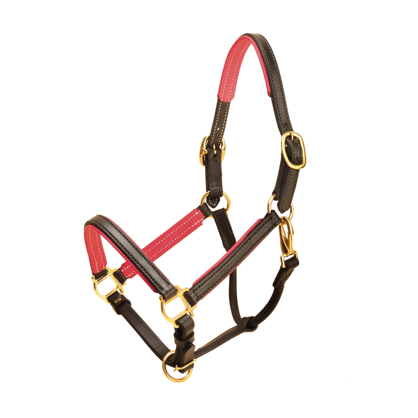 Tory's size padded 3/4" leather halter is made from English Bridle leather with soft padding backing the leather.