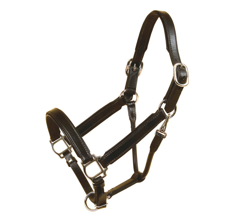 Tory's black leather padded 1" halter comes with nickel silver hardware and a free nameplate.