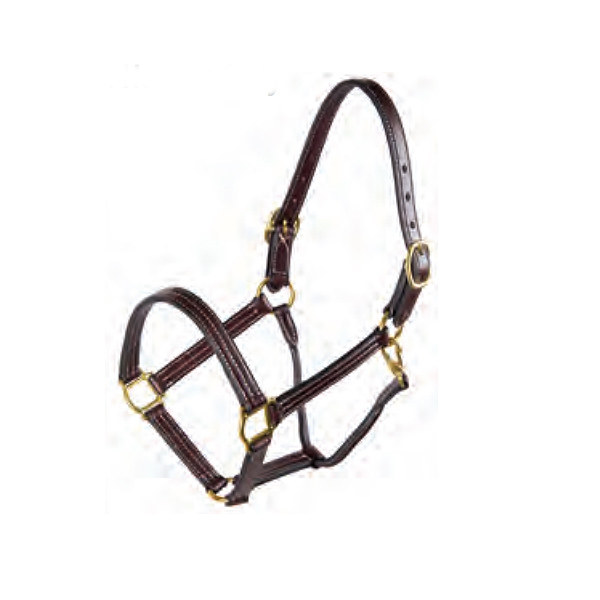 Traditional triple stitched leather horse halter with wheat colored stitching, rolled snap throat snap, straight chin and solid brass hardware.