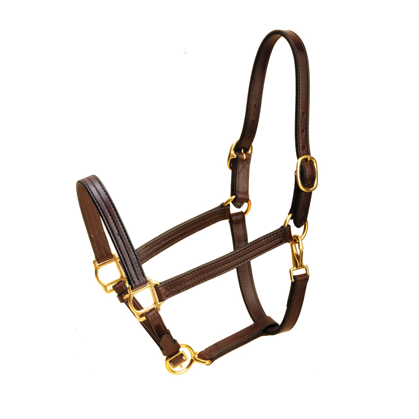 Havana traditional triple stitched leather horse halter with wheat colored stitching, flat throat snap, adjustable chin and solid brass hardware.