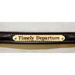 Edgewood black leather plain raised dog collar with FREE engraved brass nameplate.