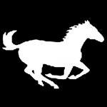 Running Horse Vinyl Decal