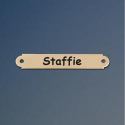 Dog collar engraved nameplate with your choice of ornamental or round end.