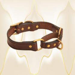 Leather martingale style dog collar from Tory Leather.