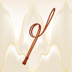 1/2" flat laced reins from Edgewood leather. Comes in two lengths.