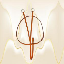 Flat running martingale from Edgewood leather. Comes in Pony, Cob, Horse or Oversize.