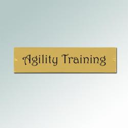Personalized Plastic Dog Crate Tag