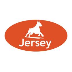 Personalized engraved plastic oval dog crate / kennel tags with engraved Doberman design and engraved text.