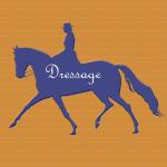 Dressage Horse Plastic Tack Trunk Plate