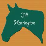 Thoroughbred Horse Head Engraved Plastic Tack Trunk Plate