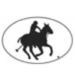 Polo Player Decal