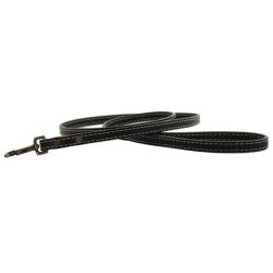 Black Heirloom bridle leather dog leash.