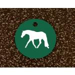 Custom engraved horse bridle tag with your choice of personalized text and horse silhouette. Horse Bridle Tag