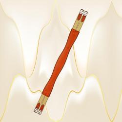 Top quality Edgewood chestnut leather horse girth with elastic on both ends.