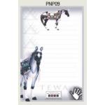 Tewa Note Pad