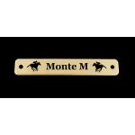 Engraved brass or silver horse saddle nameplate with choice of horse design. Horse Saddle Plate
