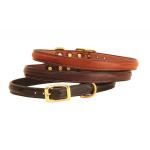 Raised leather nameplate dog collar with solid brass hardware.