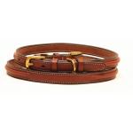 Narrow raised leather nameplate dog collar with solid brass hardware.