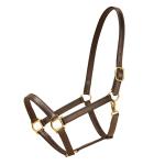 English bridle leather horse halter that is 1" wide and comes with a one buckle crown and solid brass hardware. Tory Leather