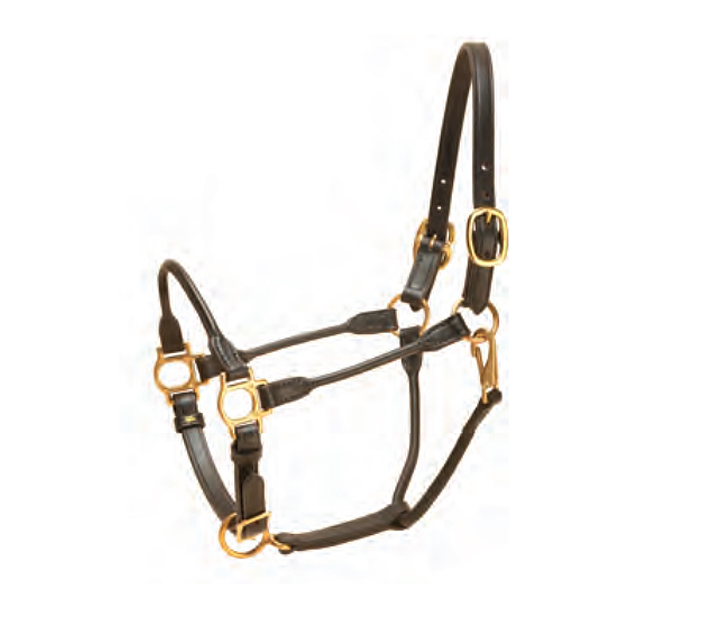 This Tory halter comes with a double buckle crown, throat snap and adjustable nose.