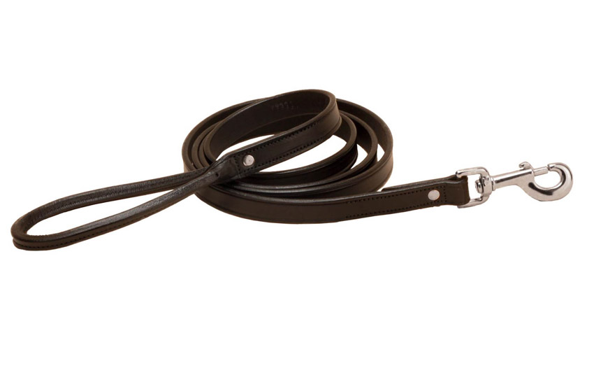 4' Leather Dog Leash with brass hardware. Tory Leather Company
