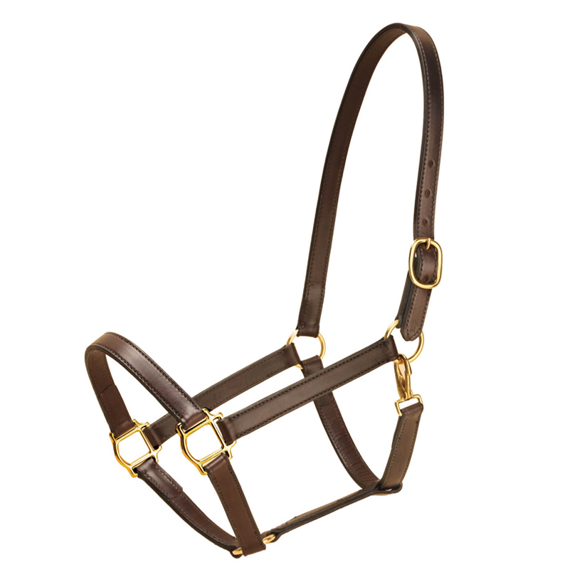 English bridle leather horse halter that is 1" wide and comes with a one buckle crown and solid brass hardware. Tory Leather
