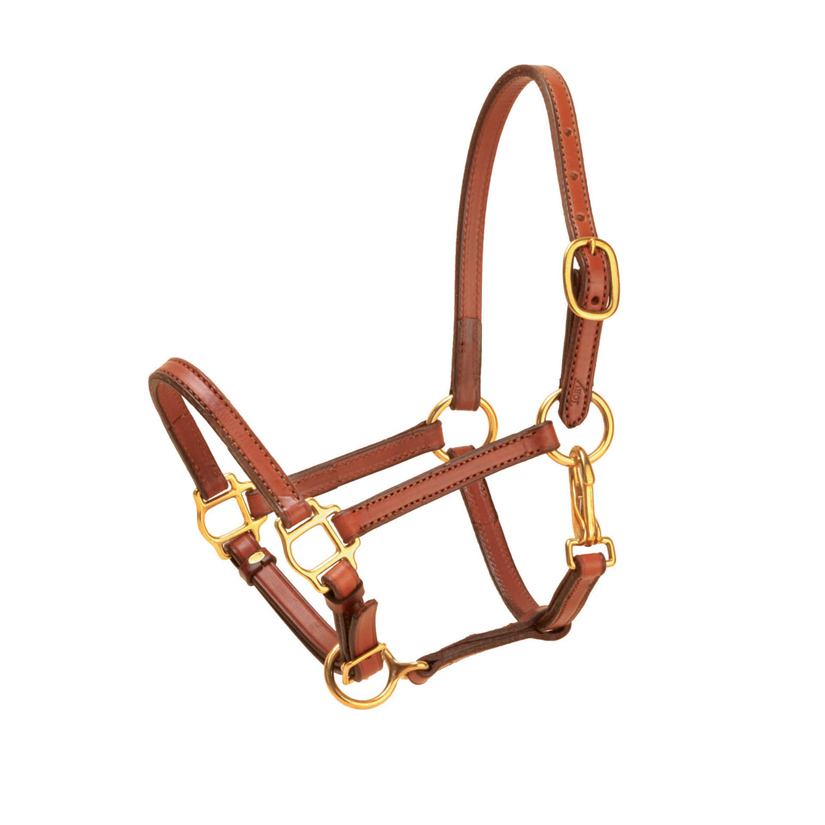 English bridle leather horse halter that is 3/4" wide and comes with a one buckle crown and adjustable nose. Tory Leather