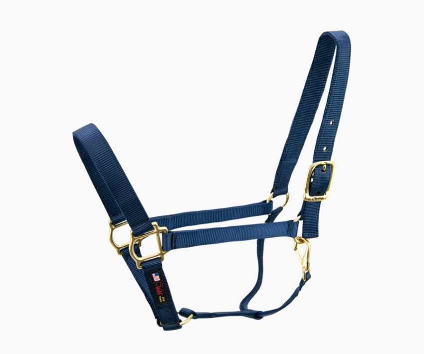 Nylon equestrian horse halter from Walsh Harness.