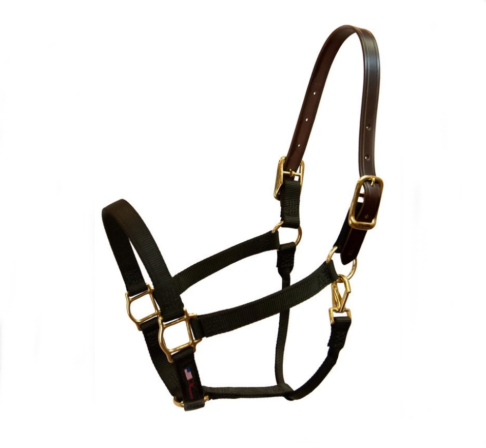 Breakaway nylon horse halter with a straight chin from Walsh Harness.