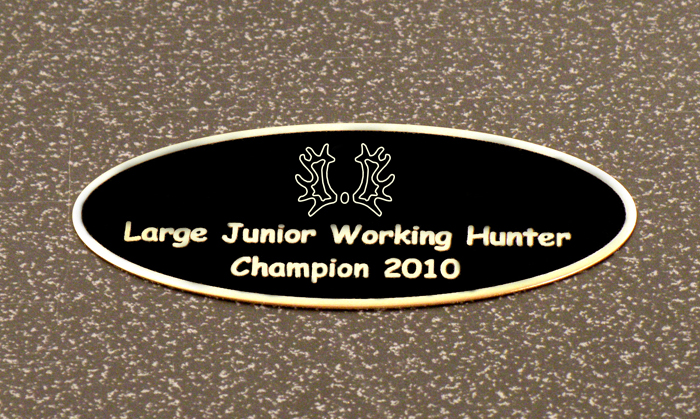 Engraved black brass breed logo tack trunk nameplate for your small tack trunk or grooming box.