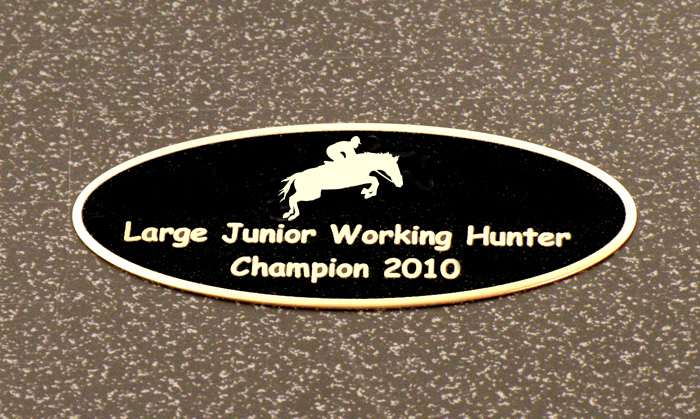 Engraved black brass horse design tack trunk nameplate for your small tack trunk or grooming box.